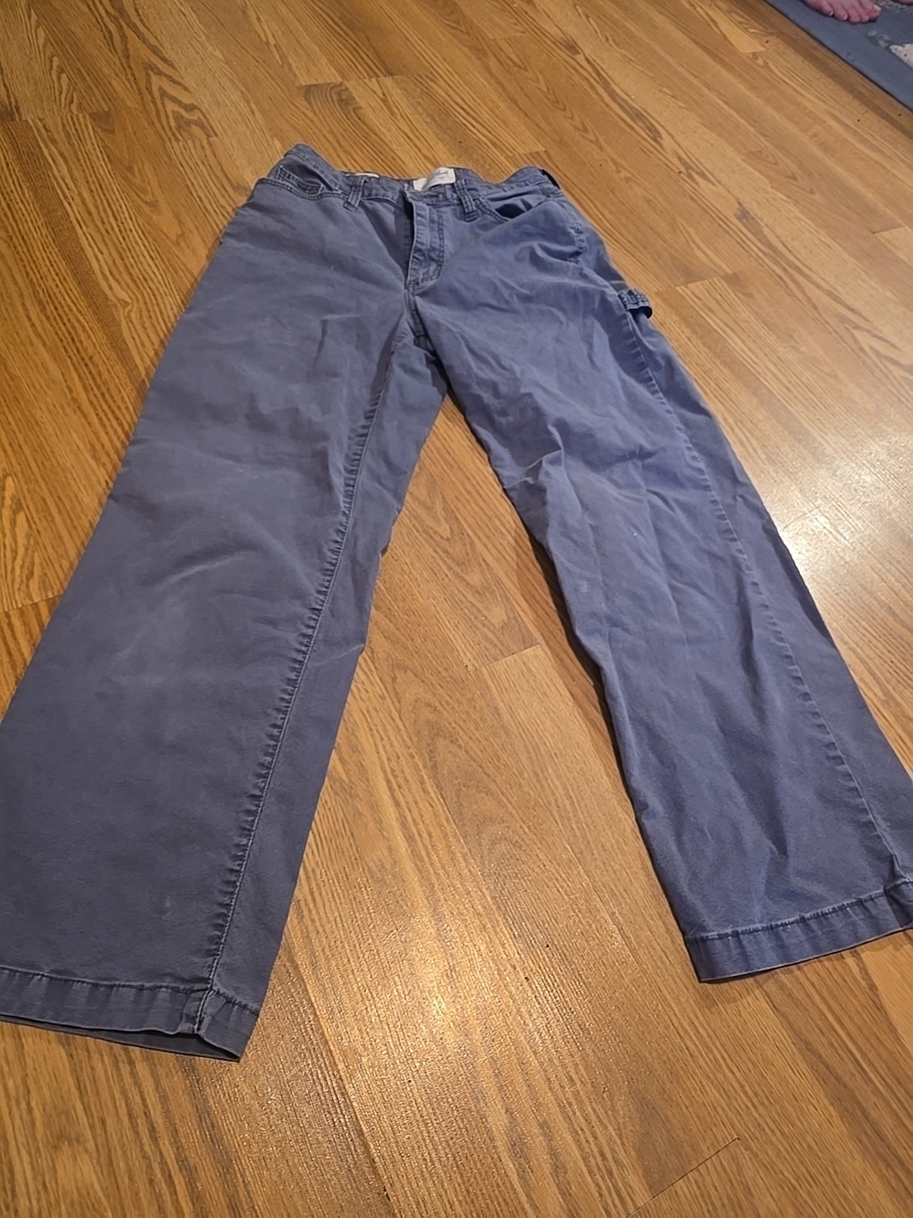 Universal Thread Relaxed Wide-Leg Pants in Slate Blue